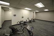 Evolve Chiropractic Schaumburg